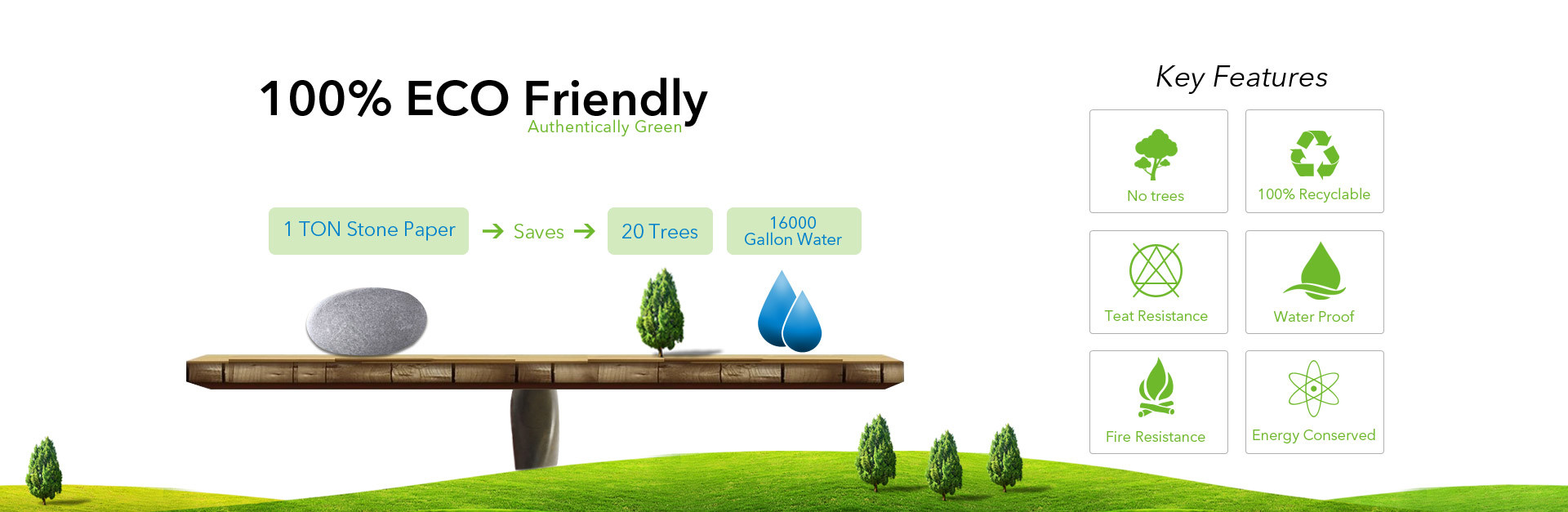 calidad Rollo de papel de la piedra fábrica